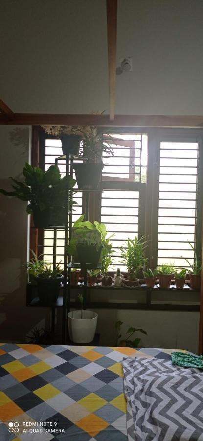 Shruthi'S Aarohi-Nature'S Retreat Mulappilangad Экстерьер фото