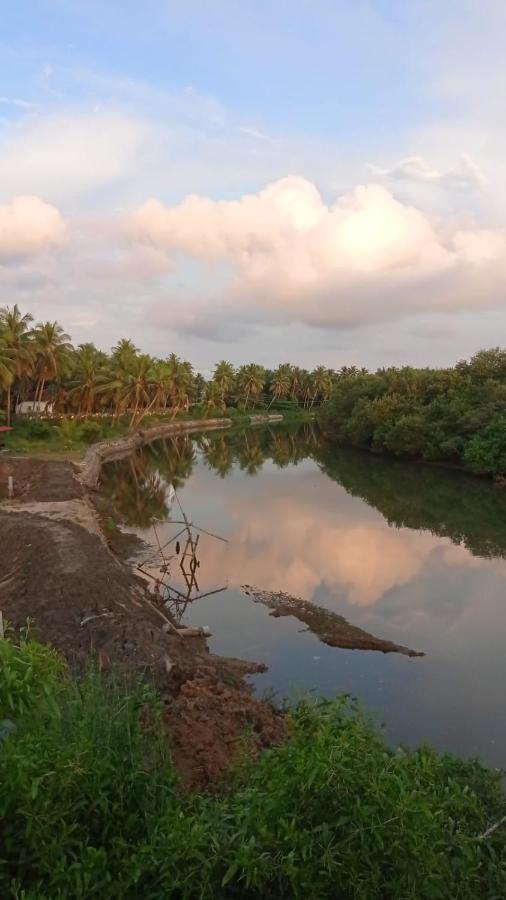 Shruthi'S Aarohi-Nature'S Retreat Mulappilangad Экстерьер фото