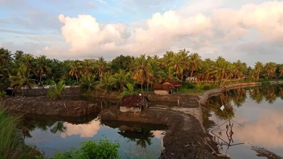 Shruthi'S Aarohi-Nature'S Retreat Mulappilangad Экстерьер фото
